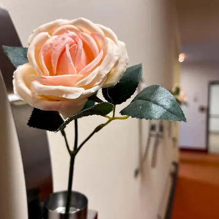 Residenciano Hotel Celle